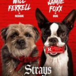 Strays