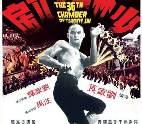 The 36th Chamber Of Shaolin