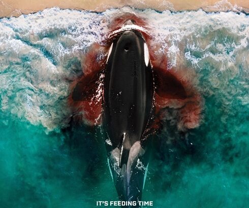 Killer Whale